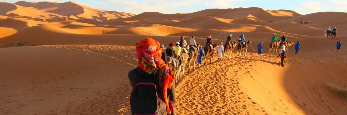 WTM Africa